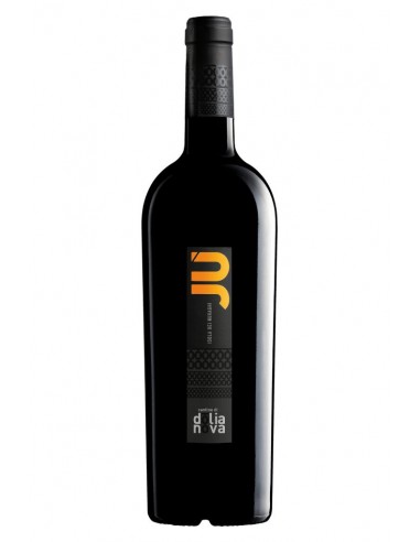 Jù Isola dei Nuraghi Igt 75cl Dolianova