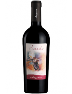 Barrile Isola dei Nuraghi Igt 150cl Azienda Vinicola Contini